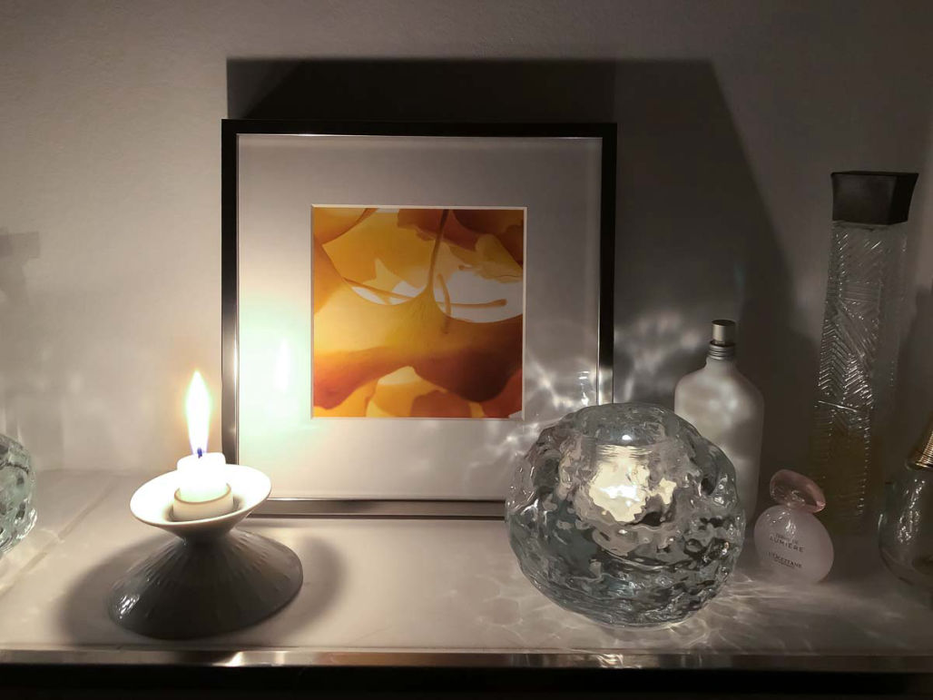 Ginkgo 1 im ART-SHOP kaufen